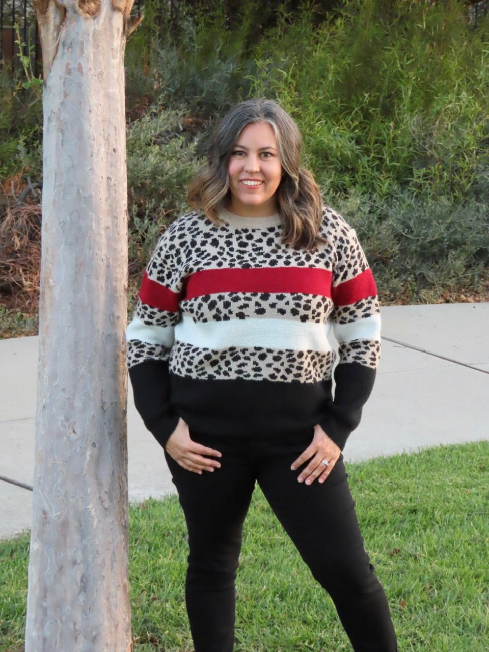 Natalie Leopard Striped Sweater