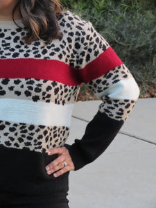 Natalie Leopard Striped Sweater
